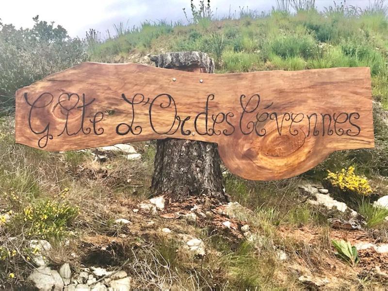 Gite L'Or Des Cevennes Saint-Andre-Capceze Exterior foto