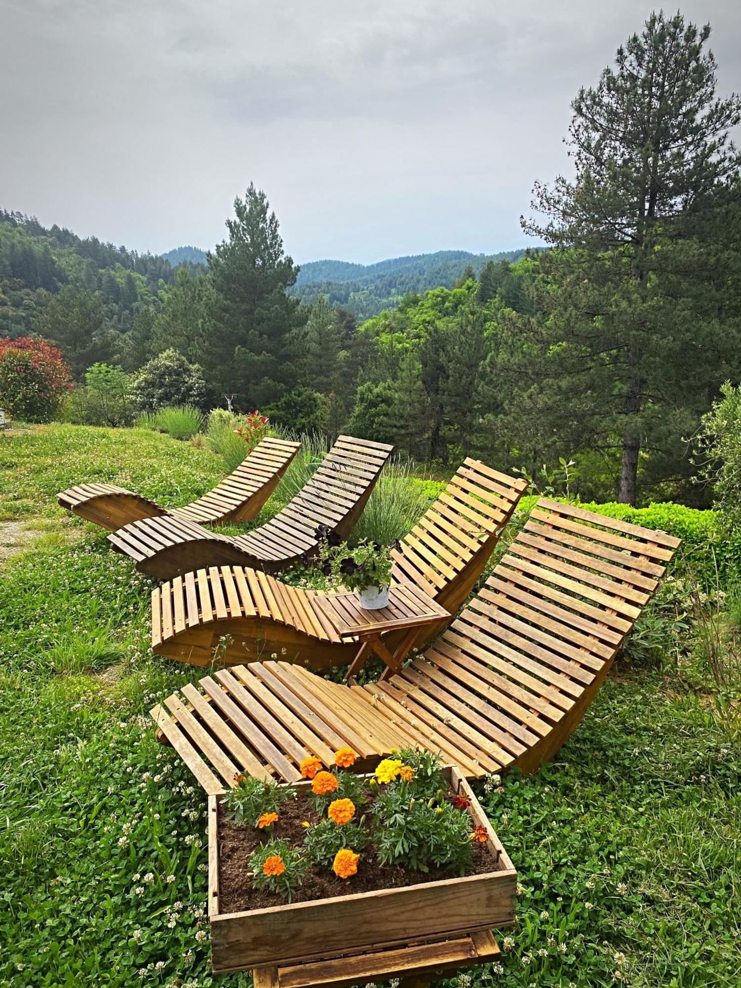 Gite L'Or Des Cevennes Saint-Andre-Capceze Exterior foto