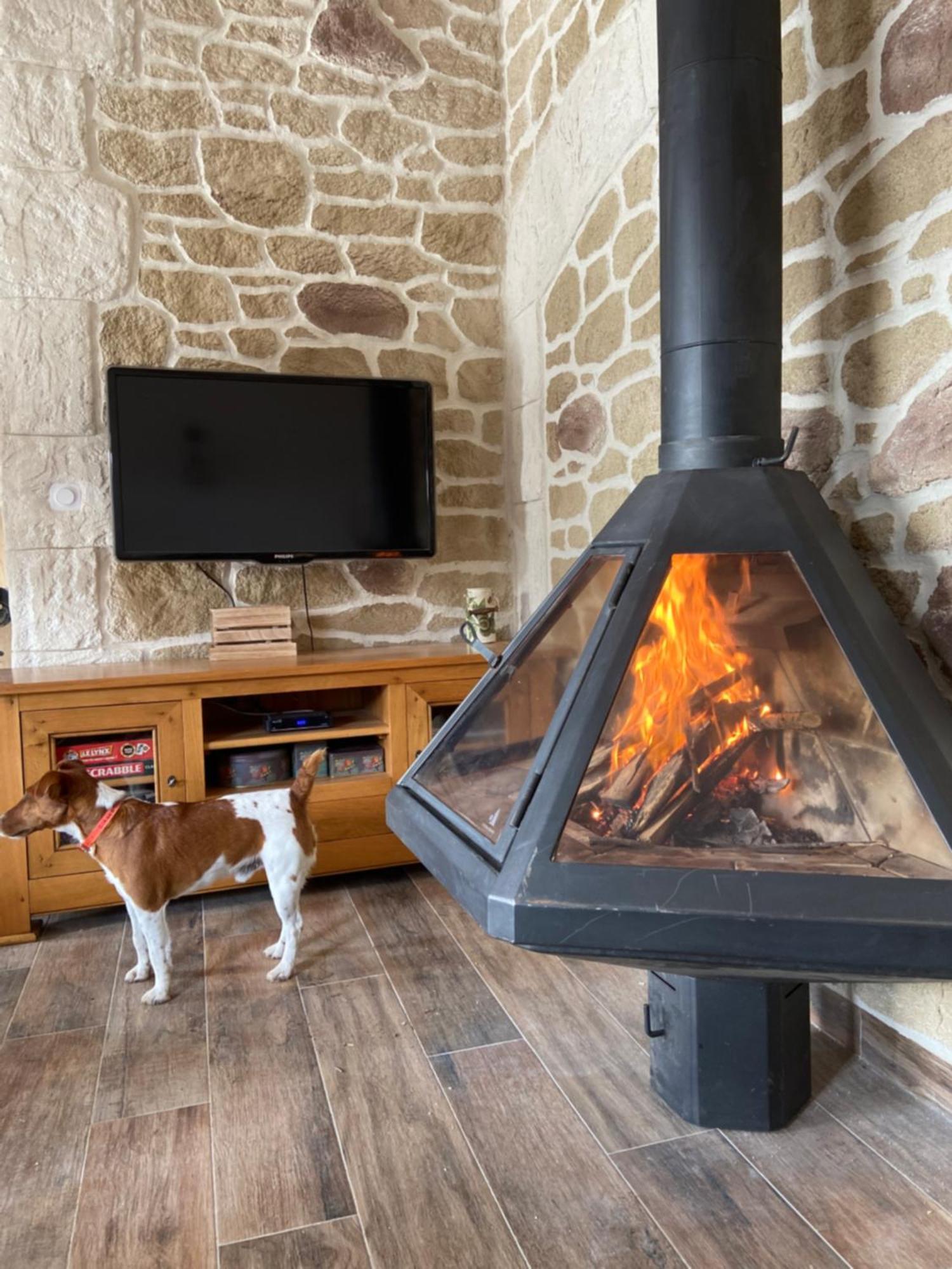 Gite L'Or Des Cevennes Saint-Andre-Capceze Exterior foto