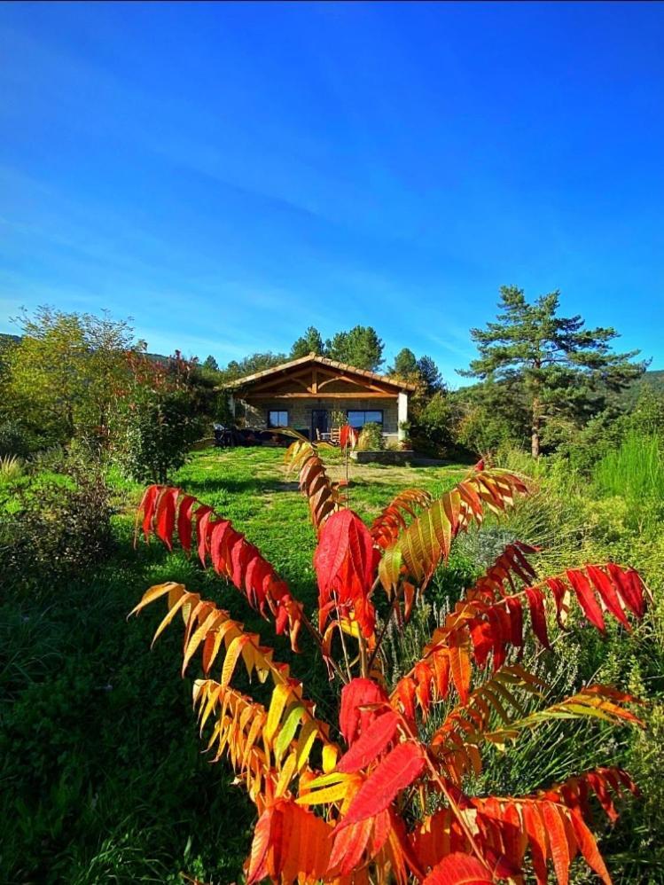 Gite L'Or Des Cevennes Saint-Andre-Capceze Exterior foto